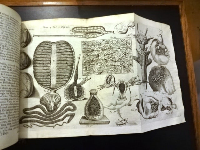 1731 Leather Philosophical Transactions Anatomy Antiquity - 5