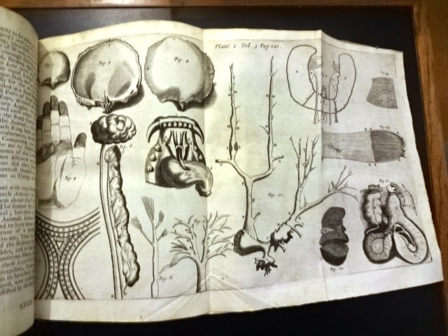 1731 Leather Philosophical Transactions Anatomy Antiquity - 6