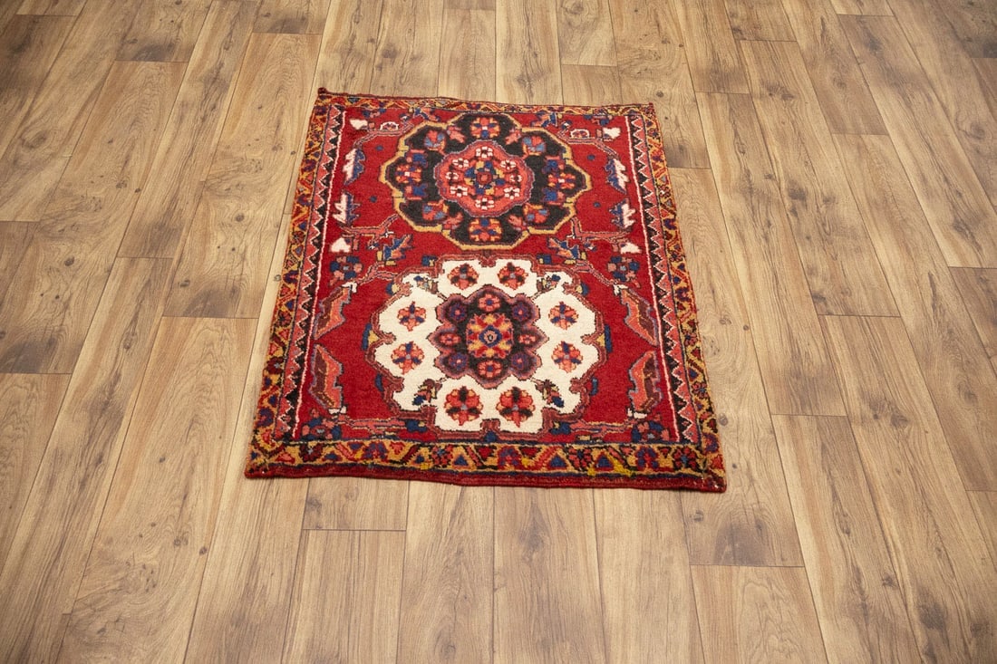 Vintage Floral Rusty Red 9X12 Bakhtiari Persian Round Rug - 3