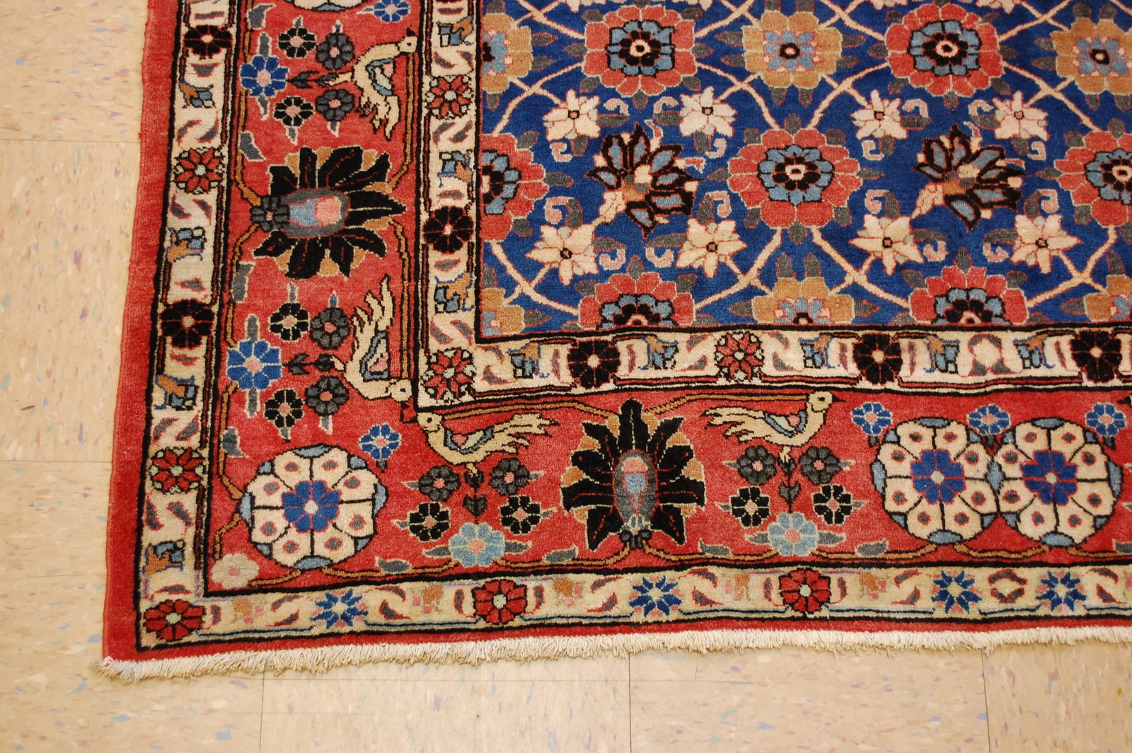 Persain SARUK RUG 5x7.4 - 3