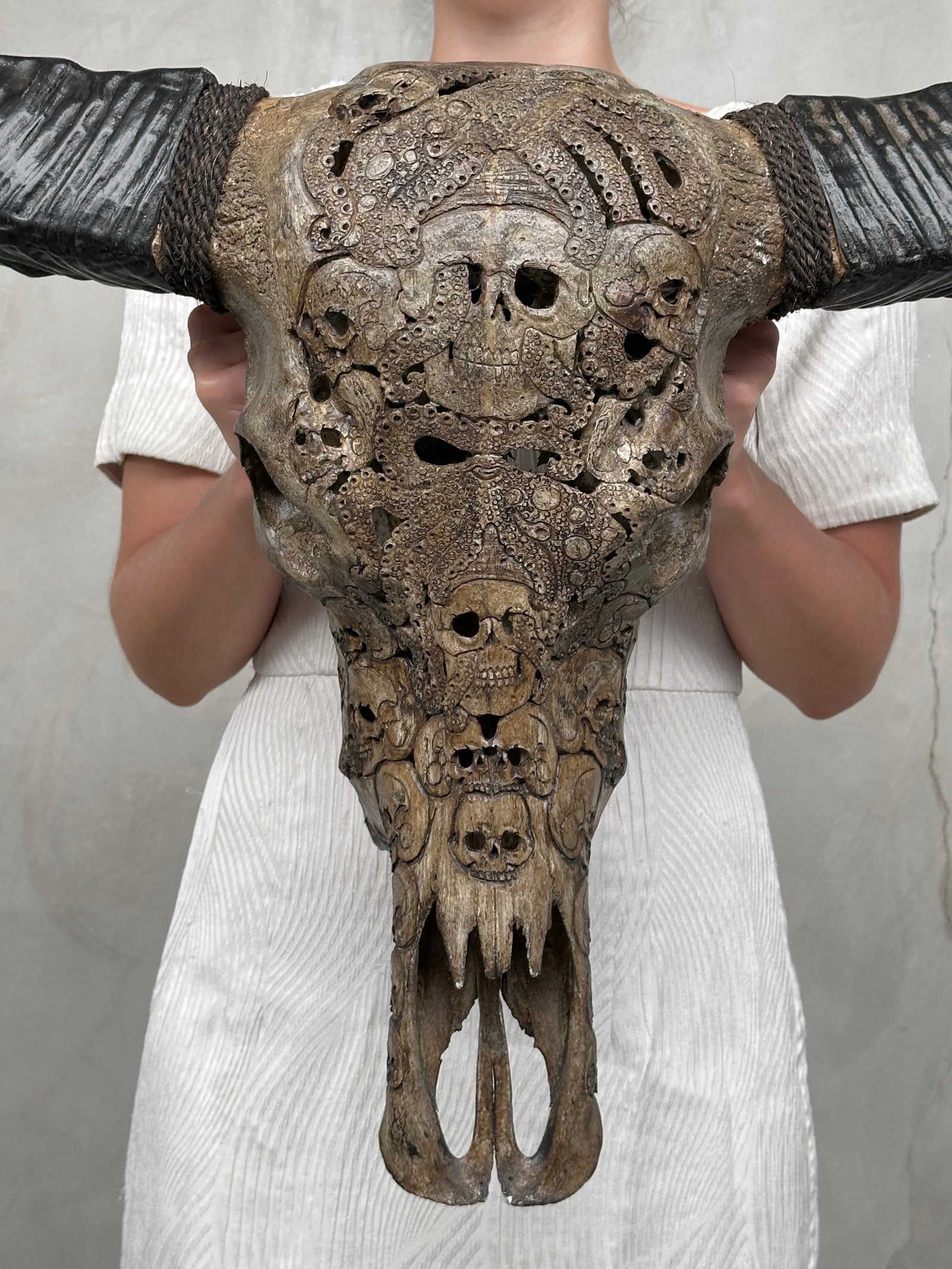Stunning carved antique brown water buffalo skull - Human skulls with an octopus: Title: Stunning carved antique brown water buffalo skull - Human skulls with an octopus Maker:Unknown Origin: Indonesia Date/Period:2026 Materials:Bubalus Bubalis, bone, horn Dimensions:Height: 68 cm
