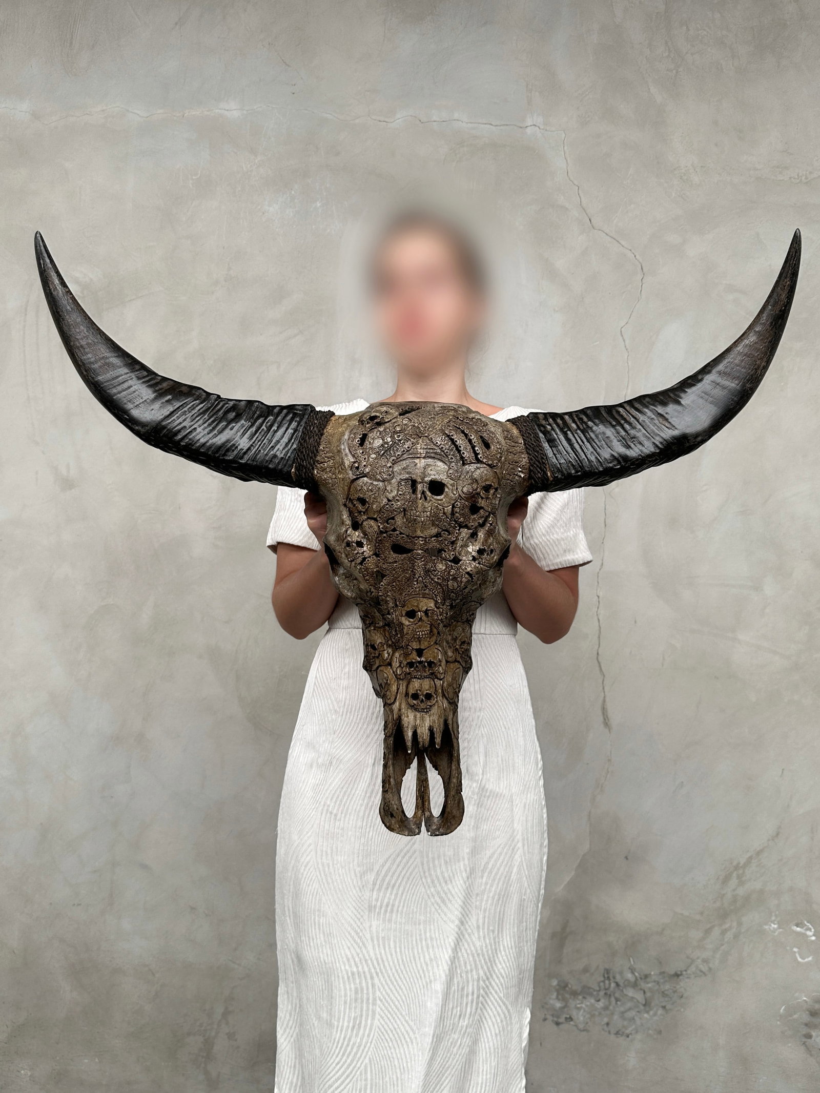 Stunning carved antique brown water buffalo skull - Human skulls with an octopus - 2