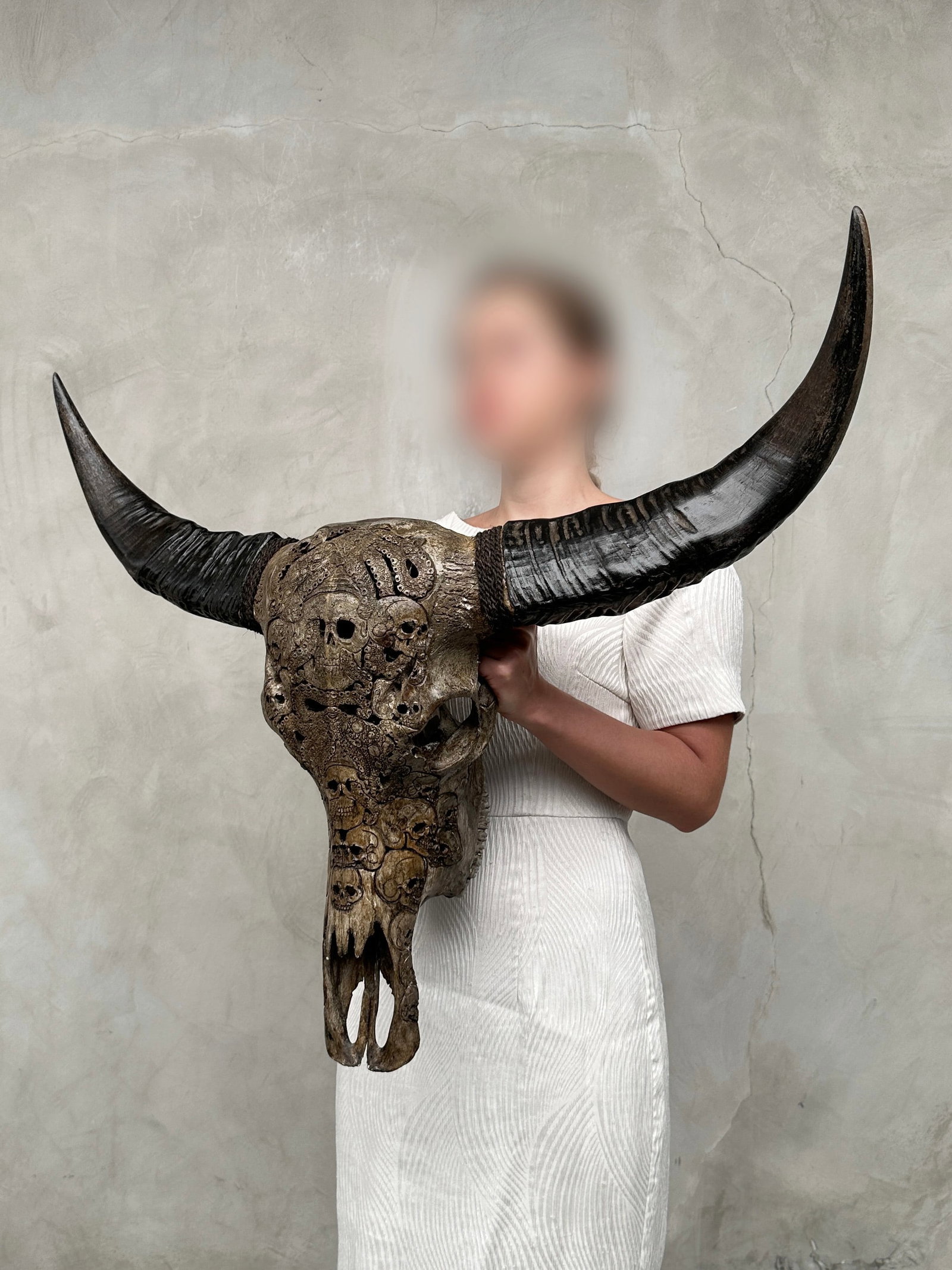 Stunning carved antique brown water buffalo skull - Human skulls with an octopus - 3
