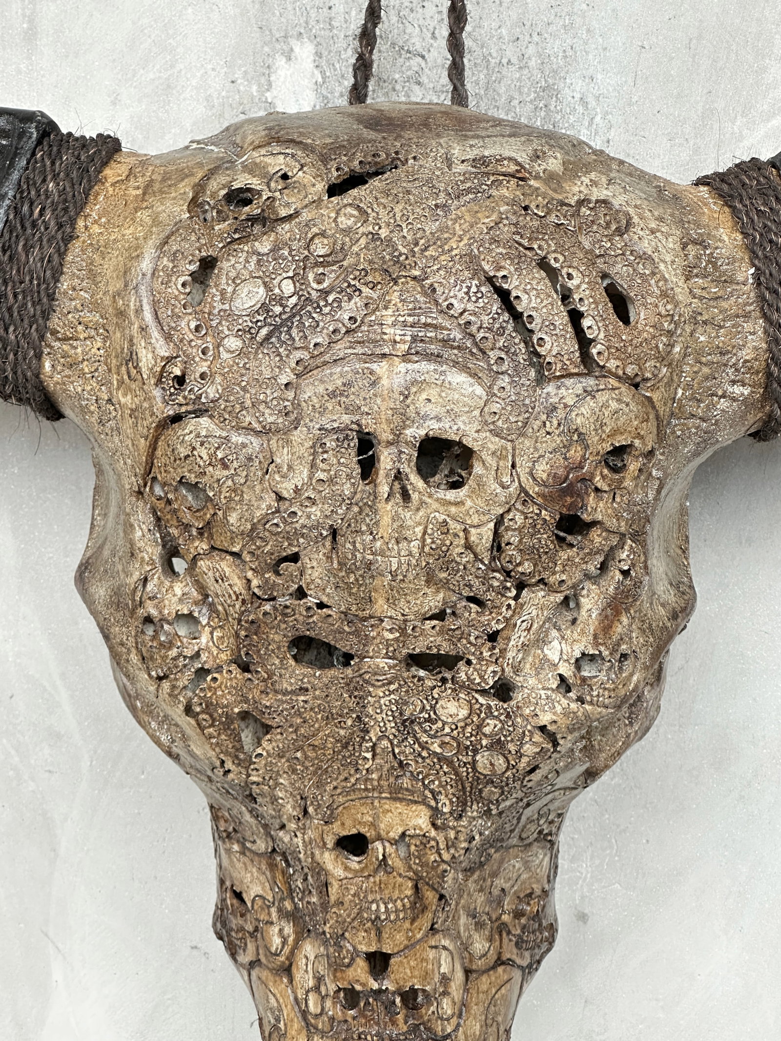 Stunning carved antique brown water buffalo skull - Human skulls with an octopus - 4