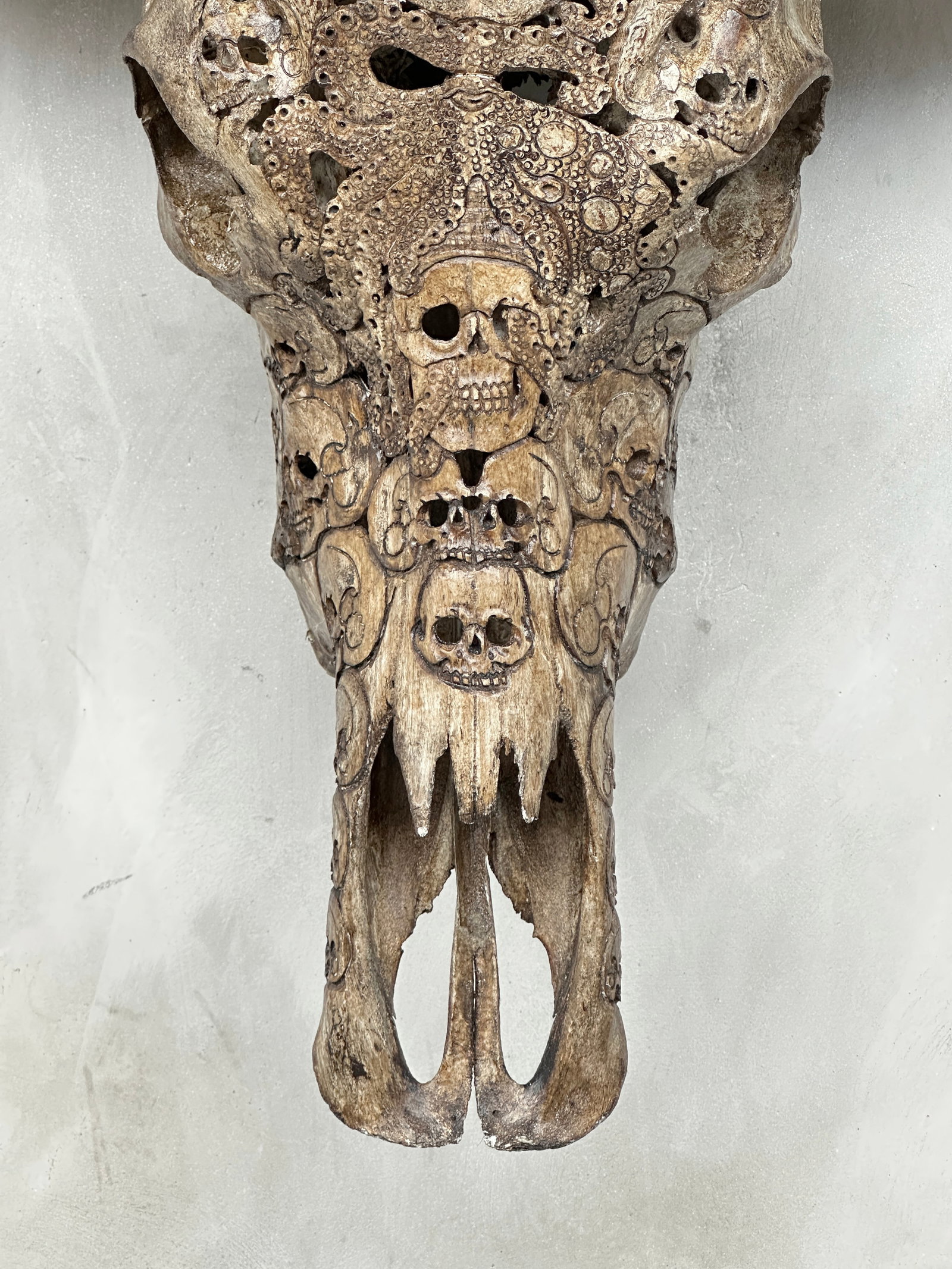 Stunning carved antique brown water buffalo skull - Human skulls with an octopus - 5