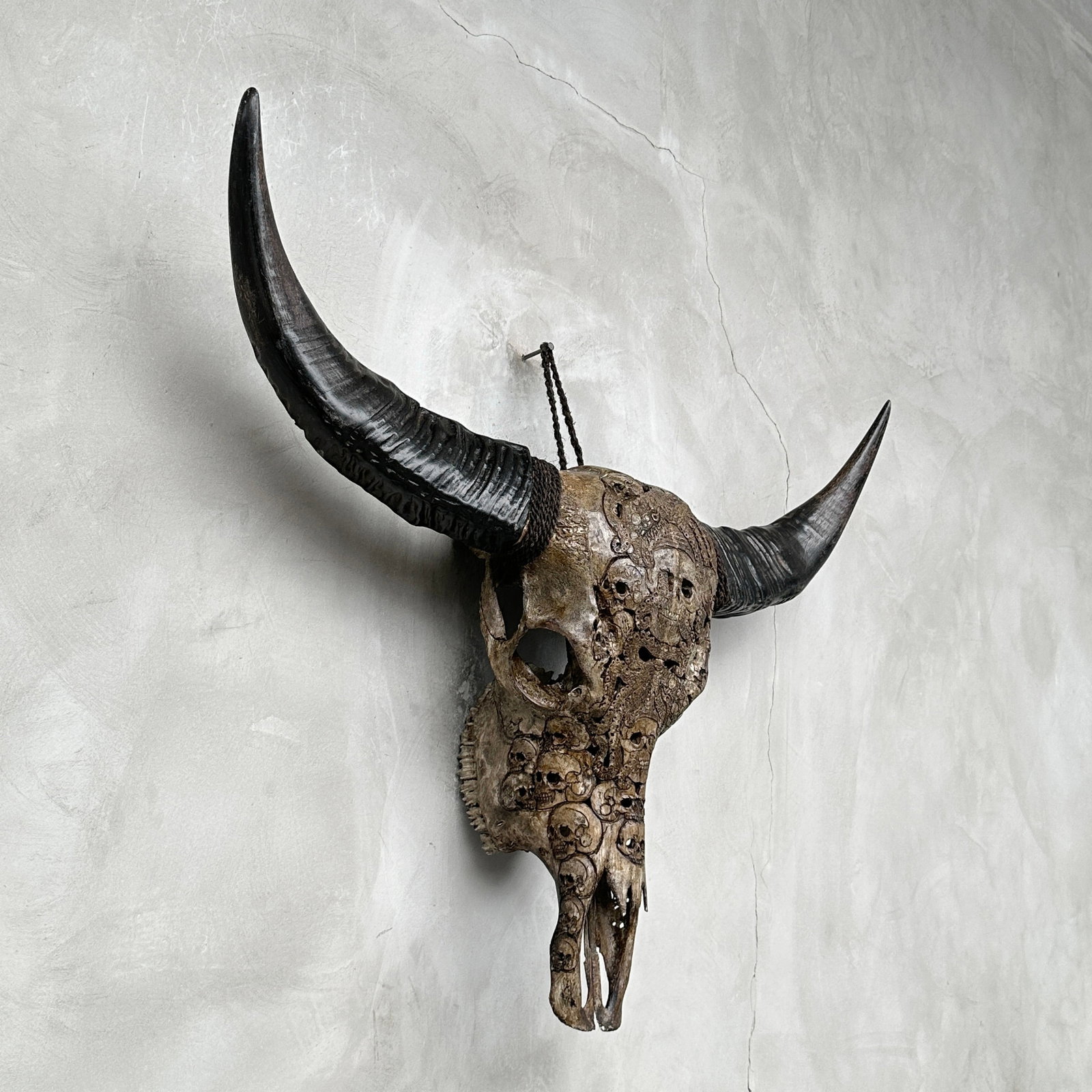 Stunning carved antique brown water buffalo skull - Human skulls with an octopus - 6