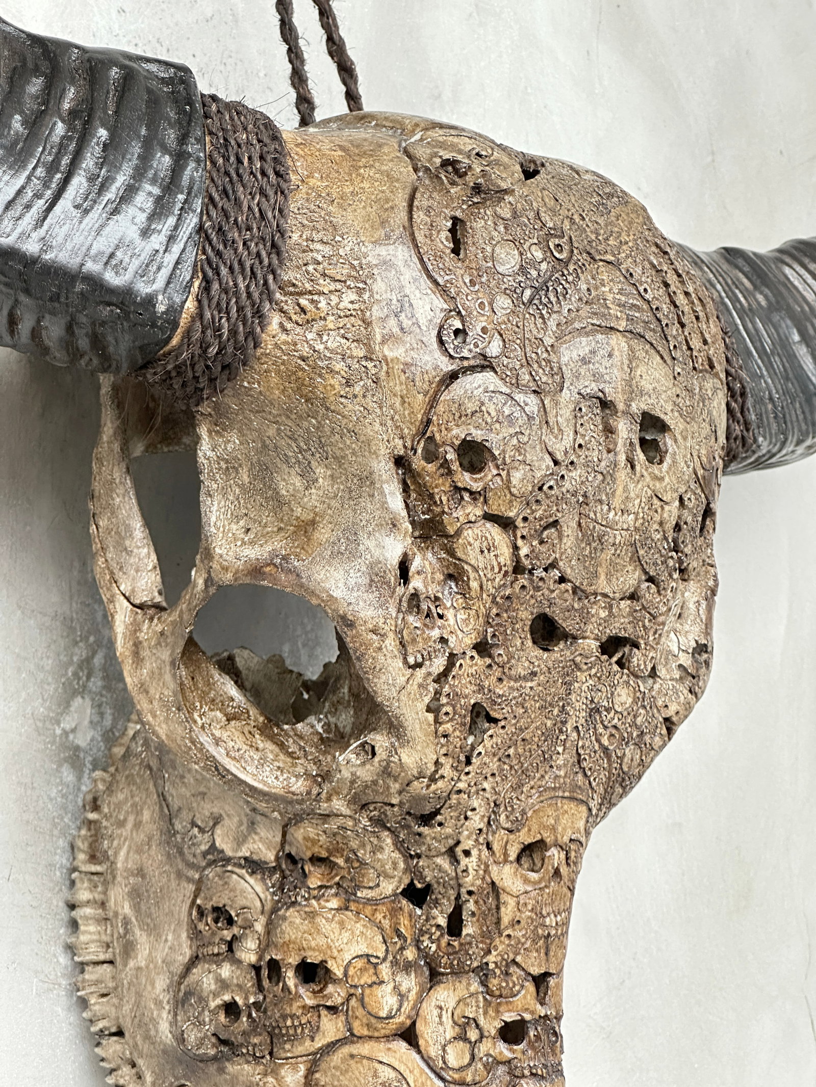 Stunning carved antique brown water buffalo skull - Human skulls with an octopus - 7