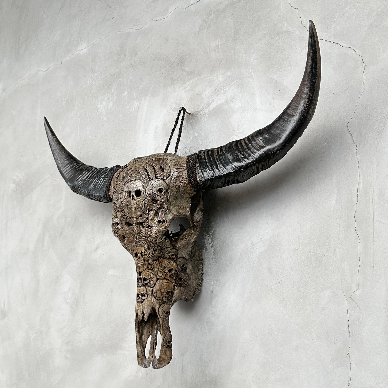 Stunning carved antique brown water buffalo skull - Human skulls with an octopus - 8
