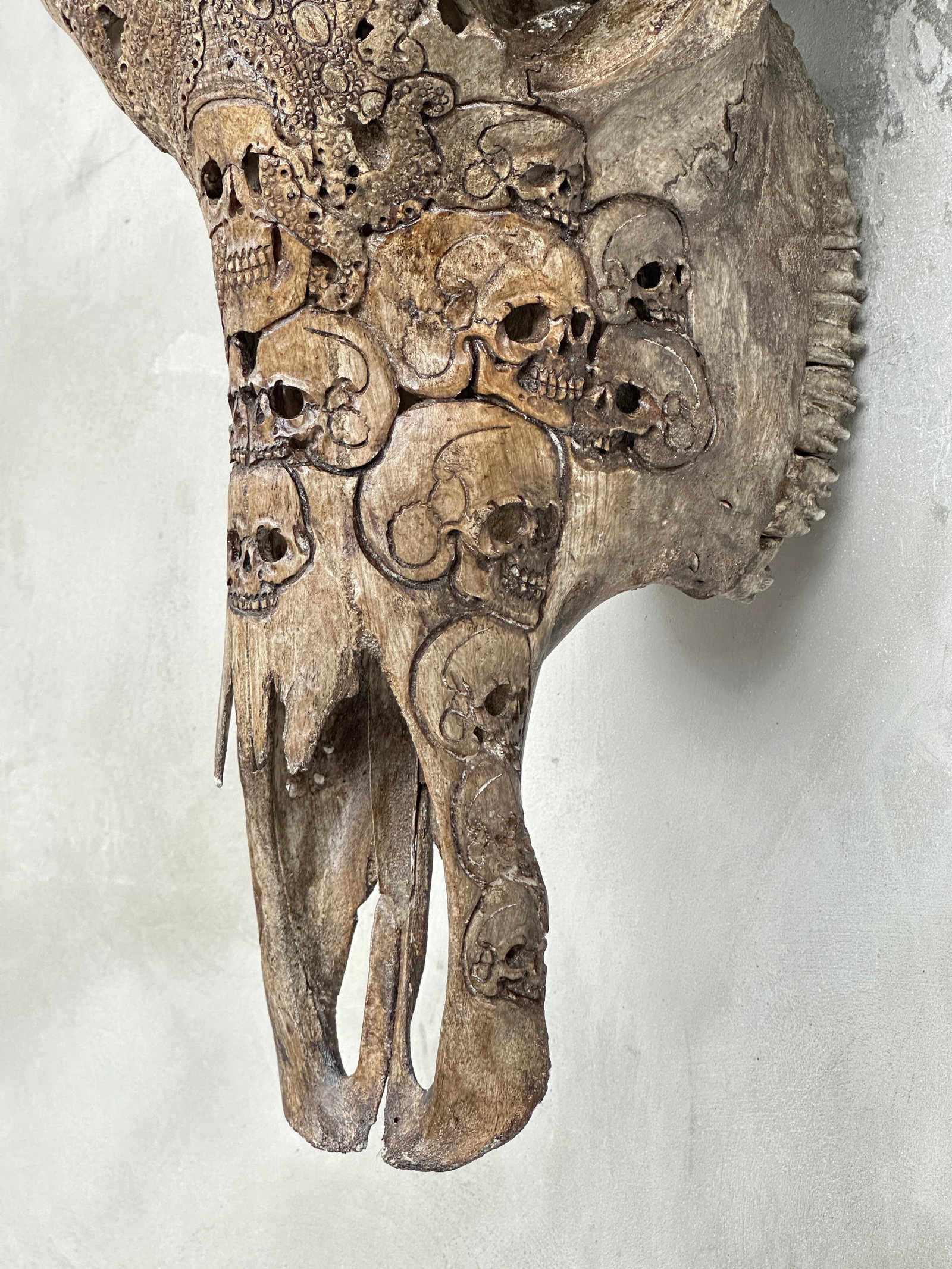 Stunning carved antique brown water buffalo skull - Human skulls with an octopus - 9