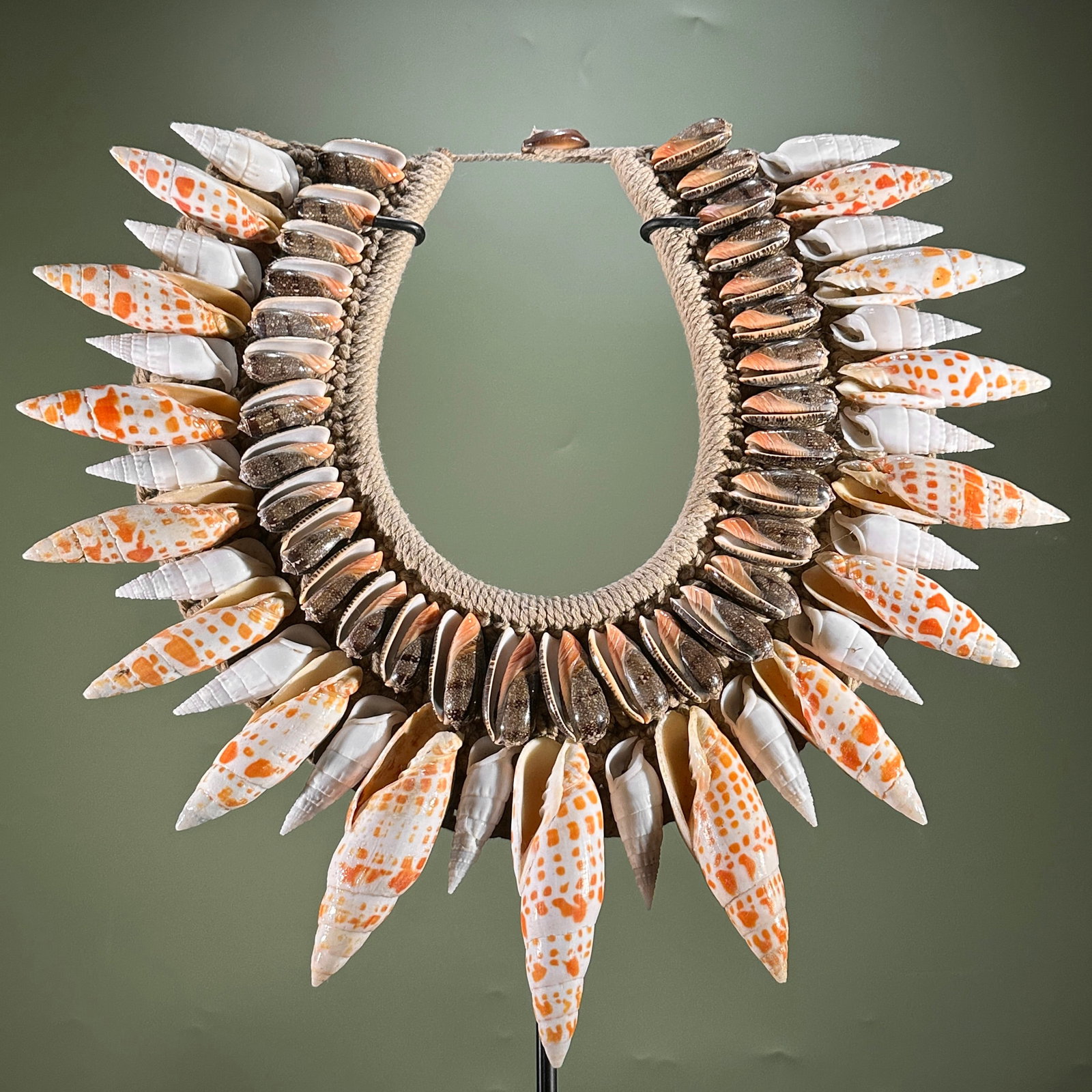 Decorative Papua necklace - Large Burnt Orange Miter Shells - 2