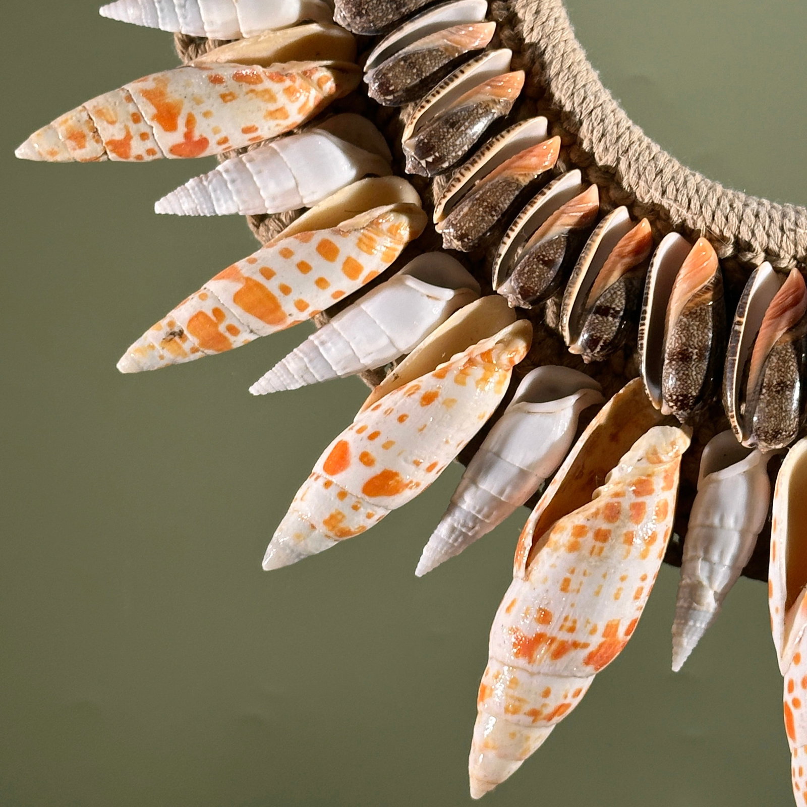 Decorative Papua necklace - Large Burnt Orange Miter Shells - 4