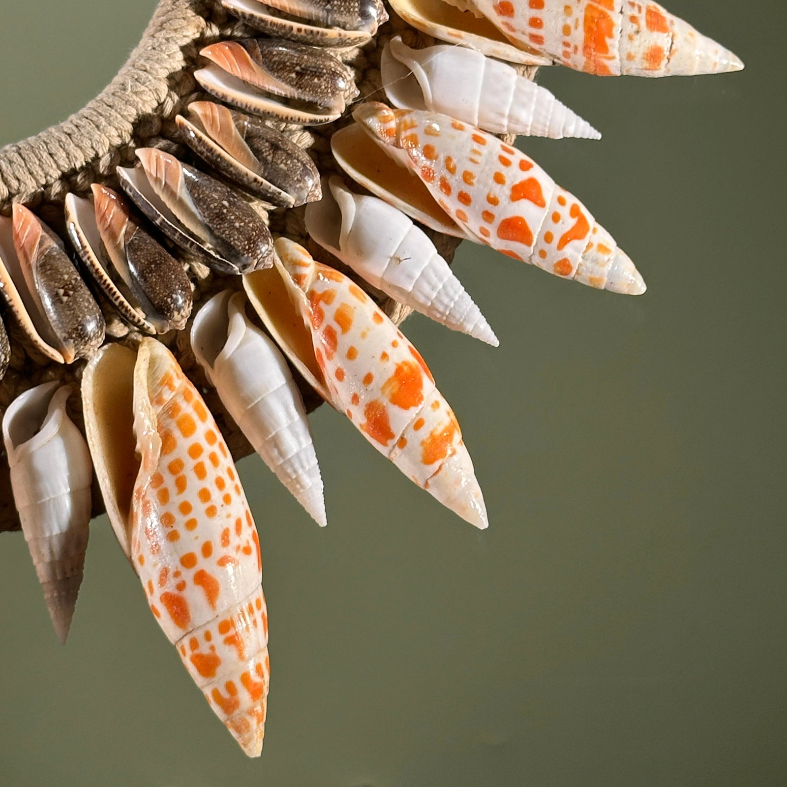 Decorative Papua necklace - Large Burnt Orange Miter Shells - 6