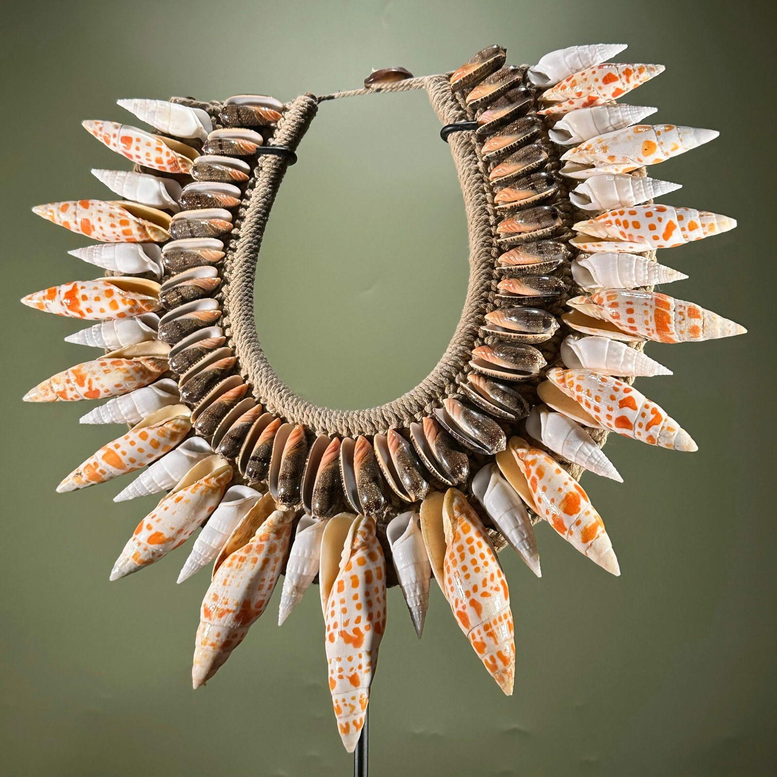 Decorative Papua necklace - Large Burnt Orange Miter Shells - 8