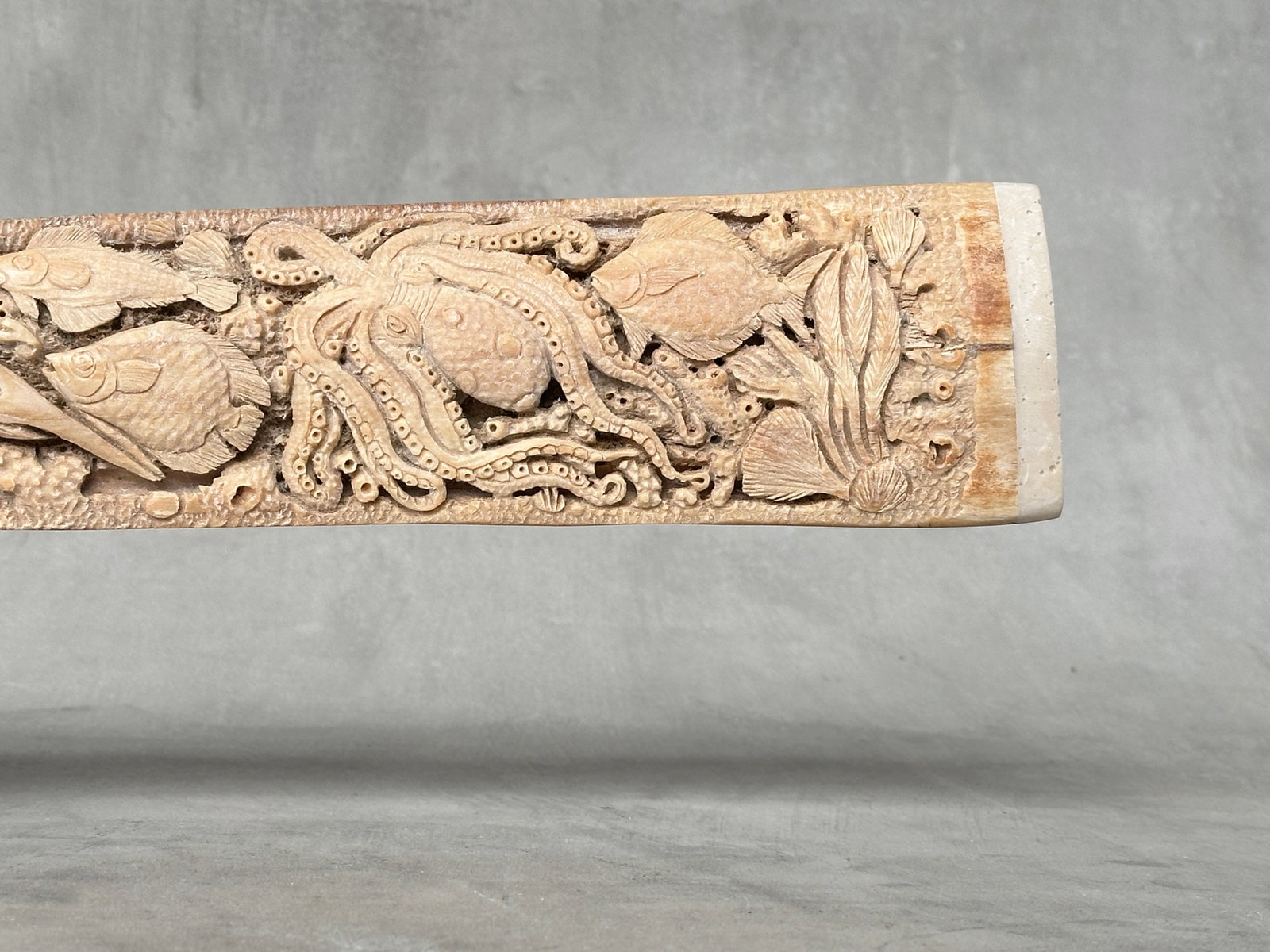 Beautiful engraved Swordfish rostrum - Marine motif - 10
