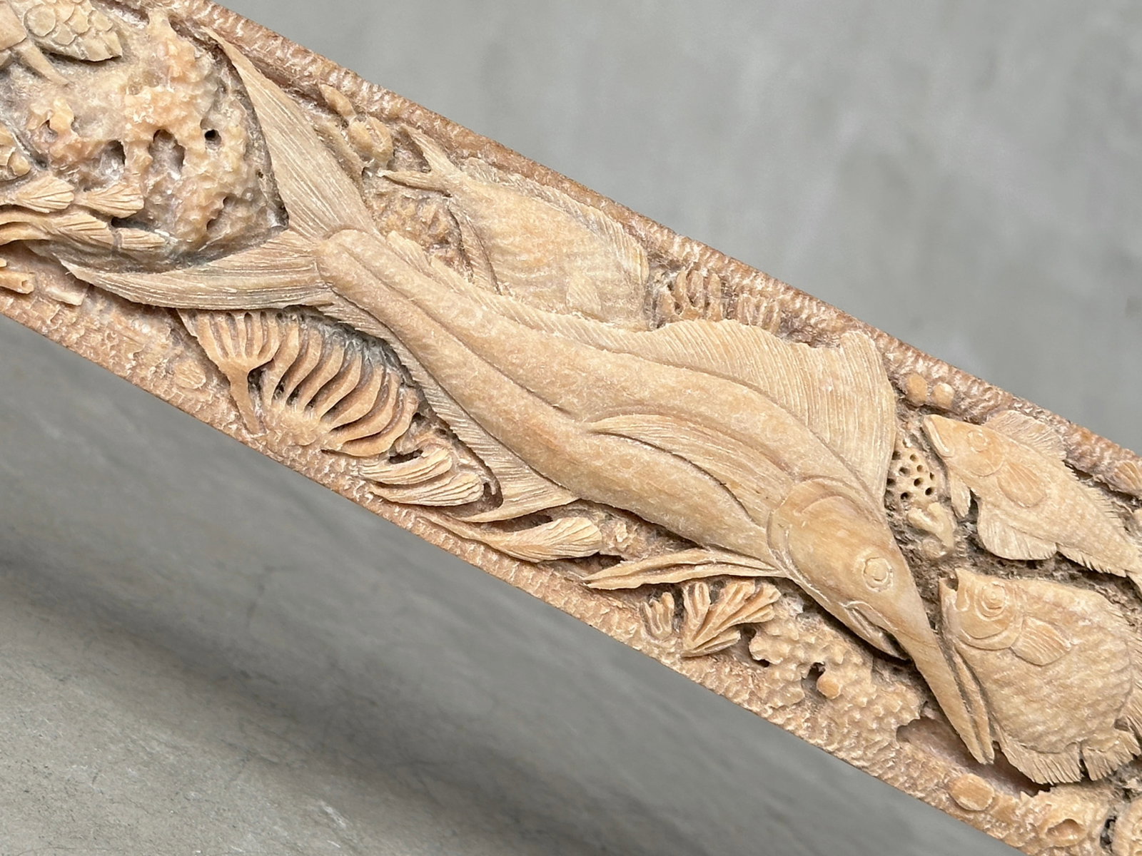 Beautiful engraved Swordfish rostrum - Marine motif - 4