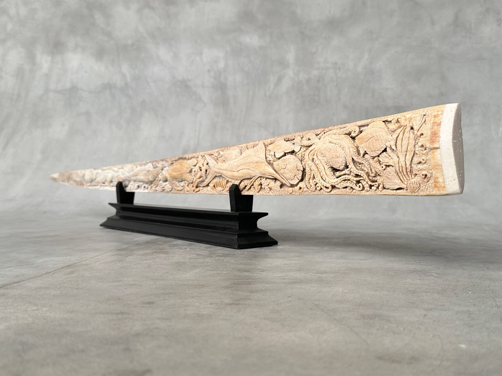 Beautiful engraved Swordfish rostrum - Marine motif - 5