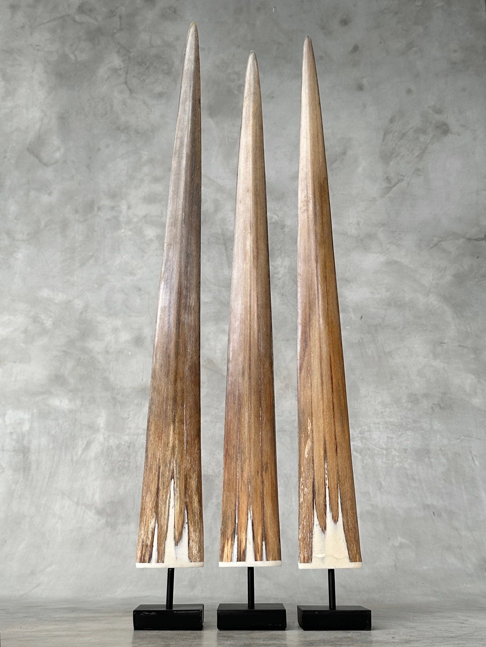 Swordfish tusk trio with custom stands - 2