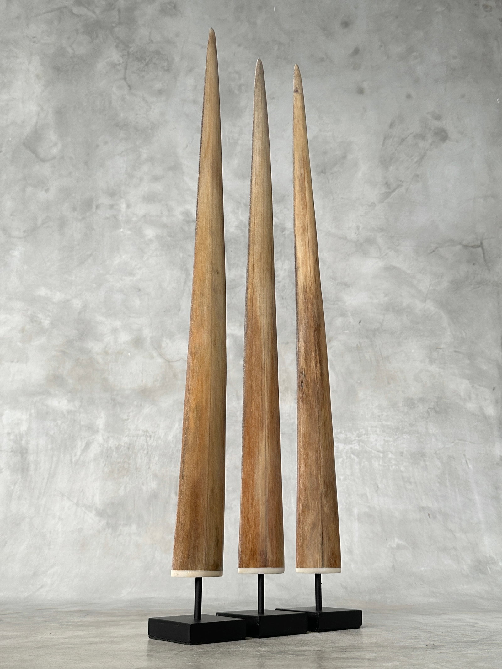 Swordfish tusk trio with custom stands - 3