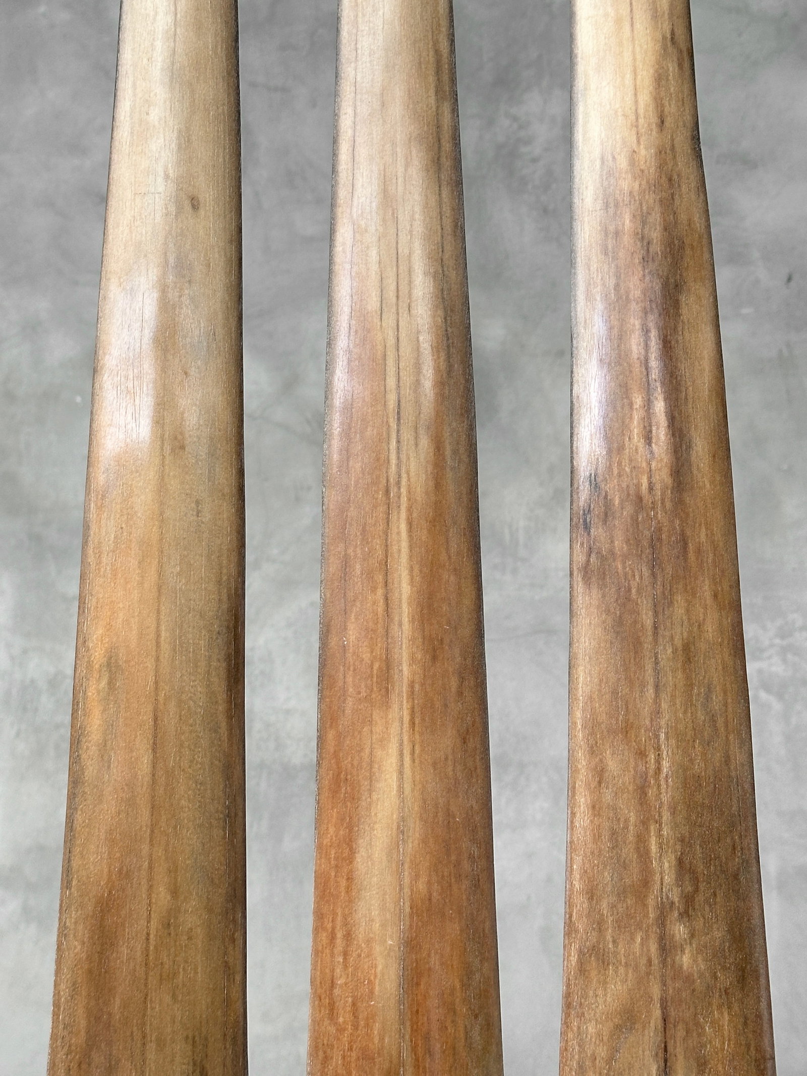 Swordfish tusk trio with custom stands - 5