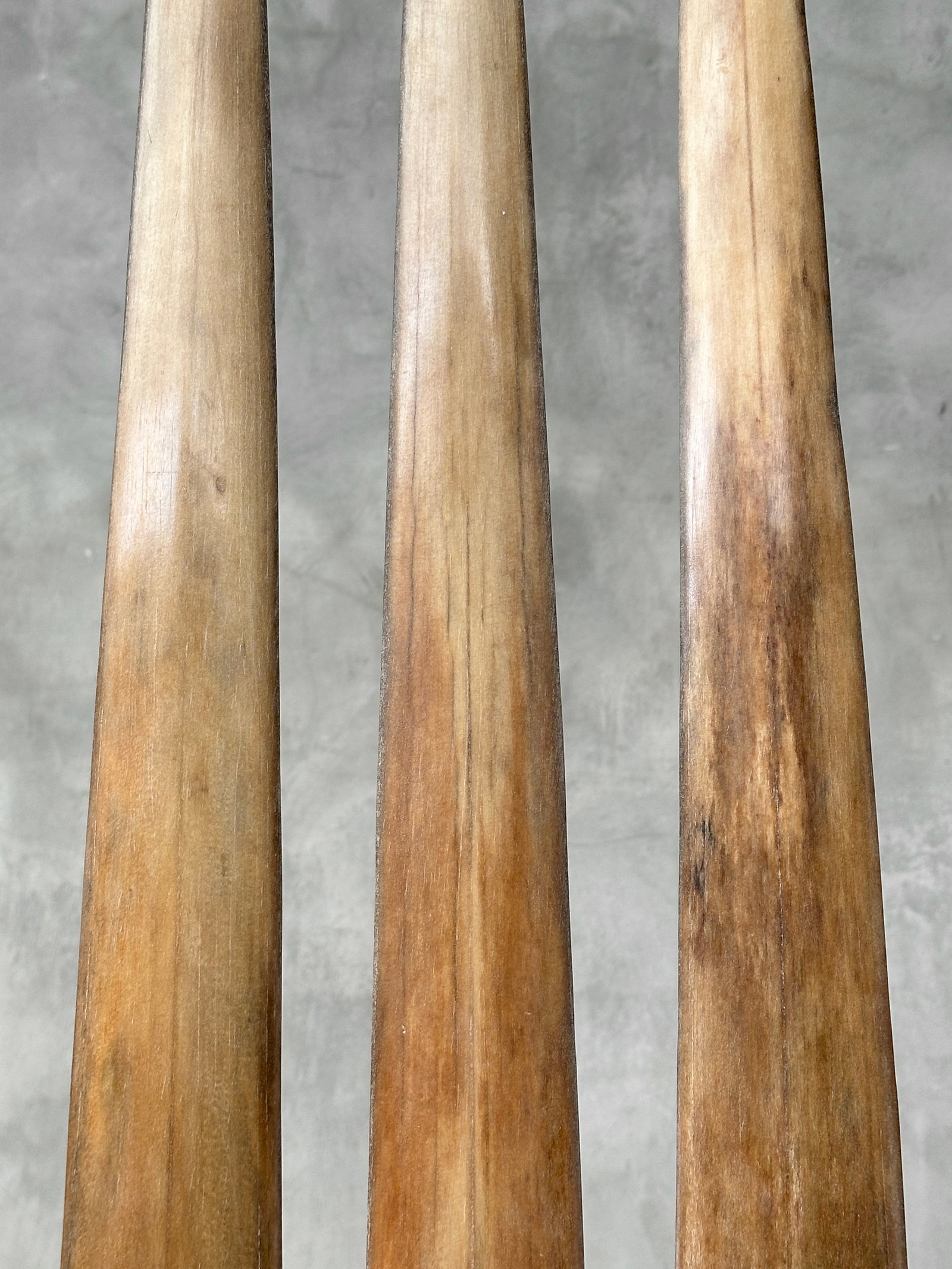 Swordfish tusk trio with custom stands - 6