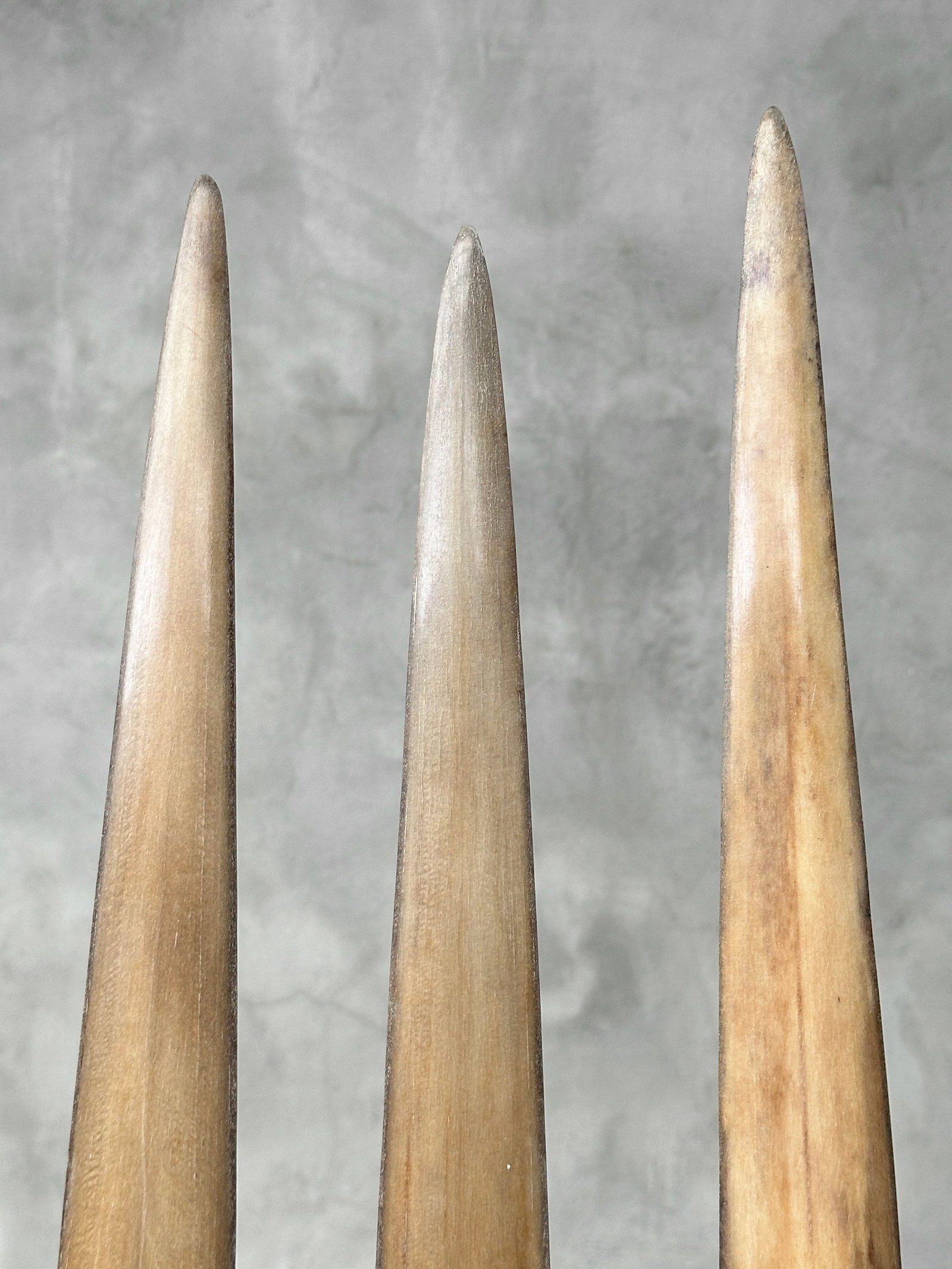 Swordfish tusk trio with custom stands - 8