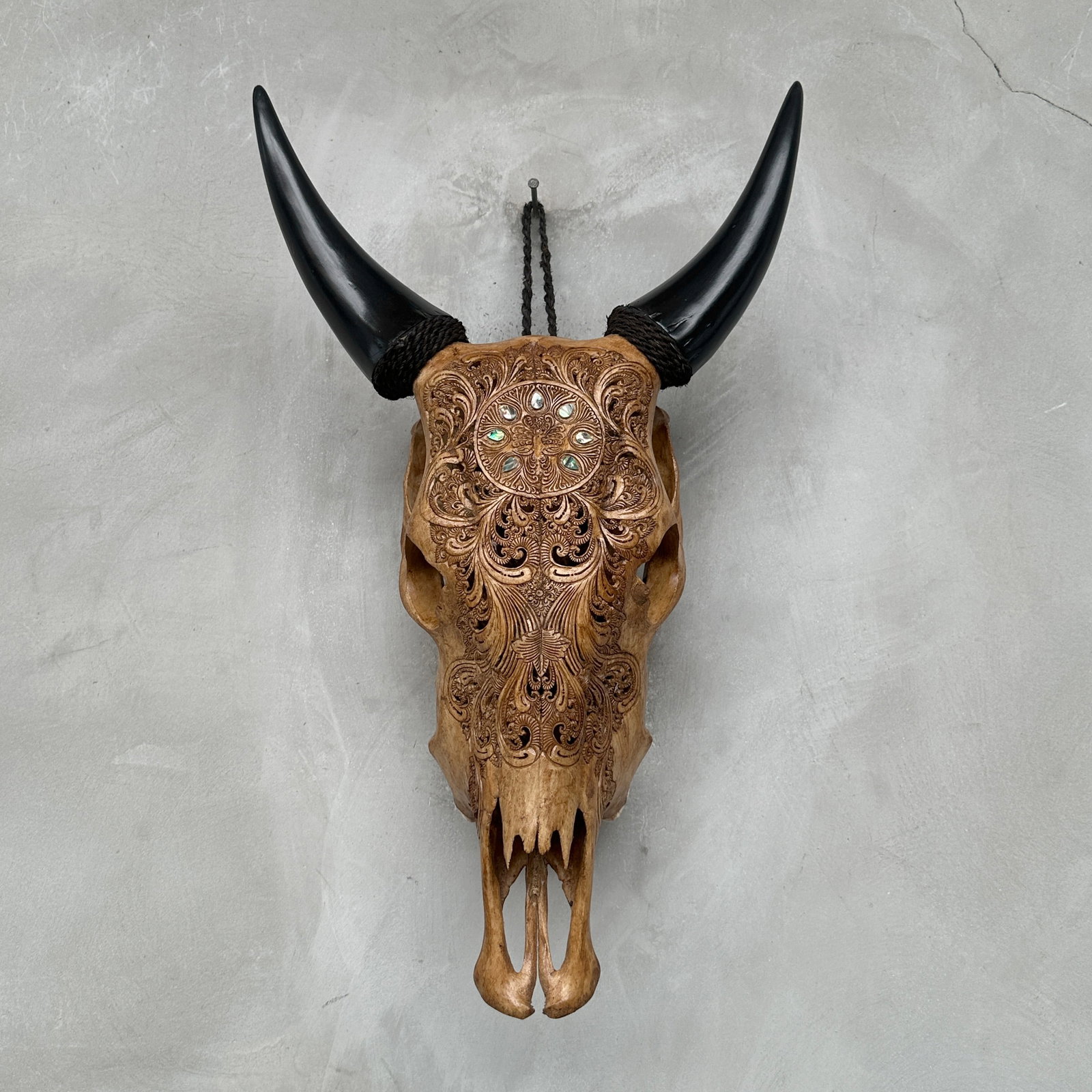 Stunning brown cow skull - Peacock motif with abalone inlay - 10