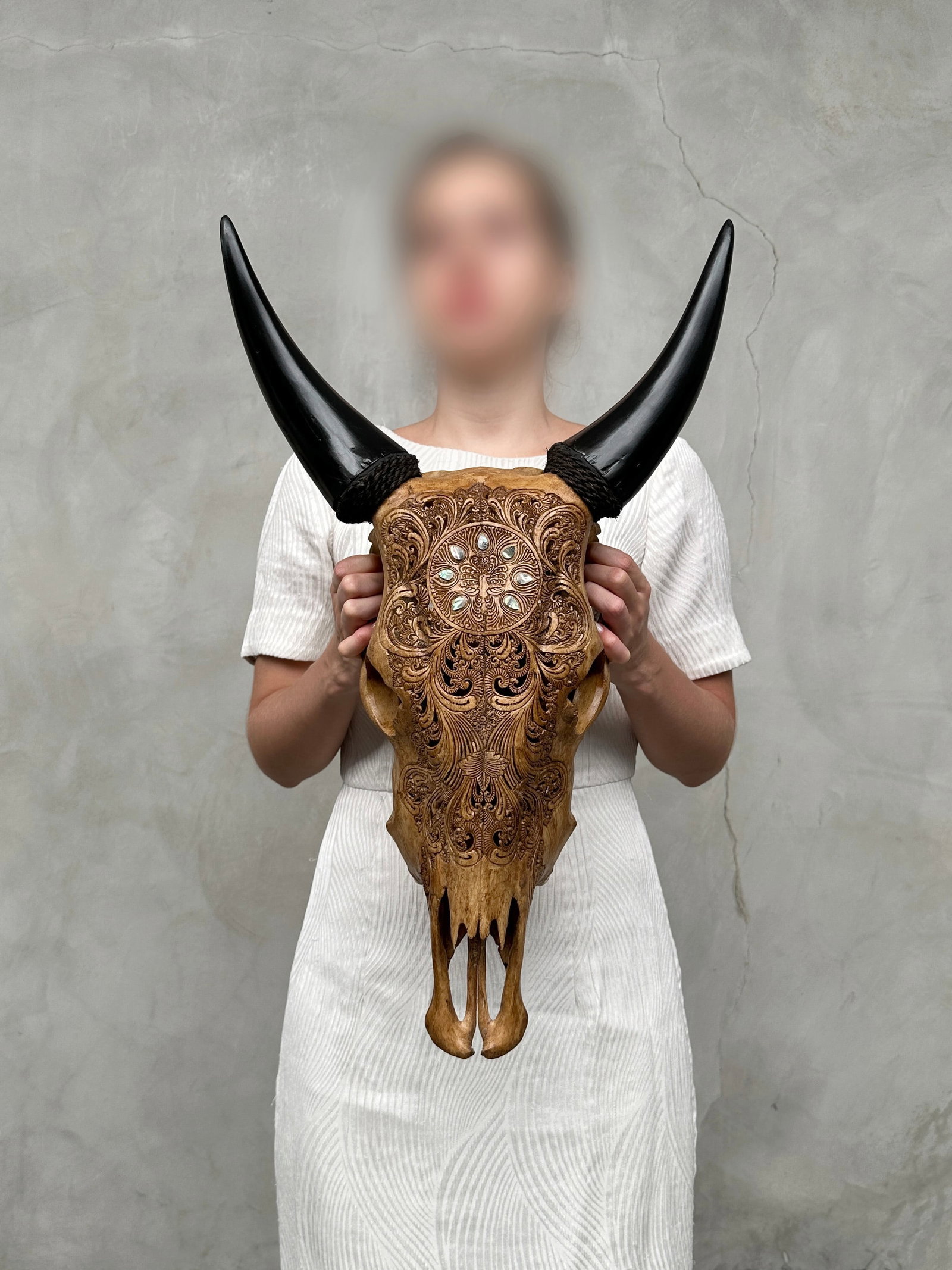 Stunning brown cow skull - Peacock motif with abalone inlay - 2