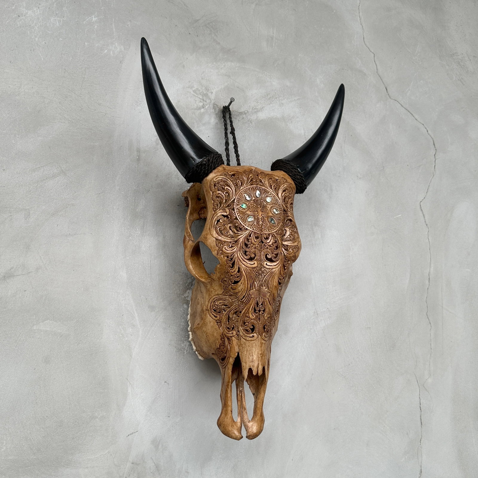Stunning brown cow skull - Peacock motif with abalone inlay - 6