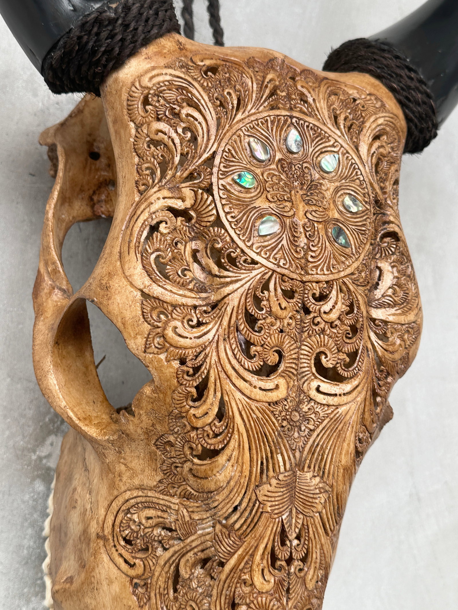 Stunning brown cow skull - Peacock motif with abalone inlay - 7