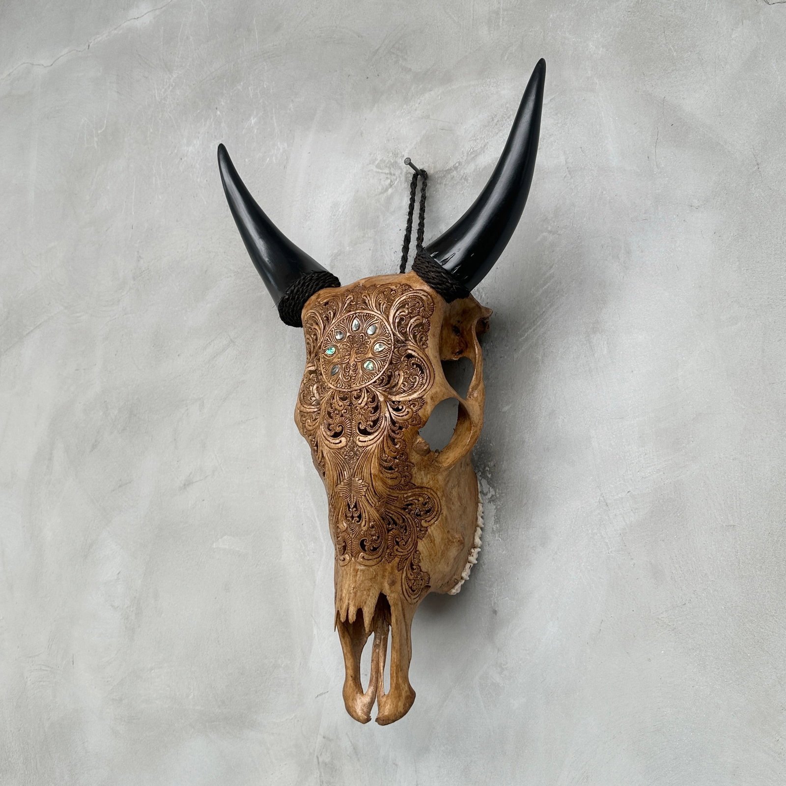 Stunning brown cow skull - Peacock motif with abalone inlay - 8