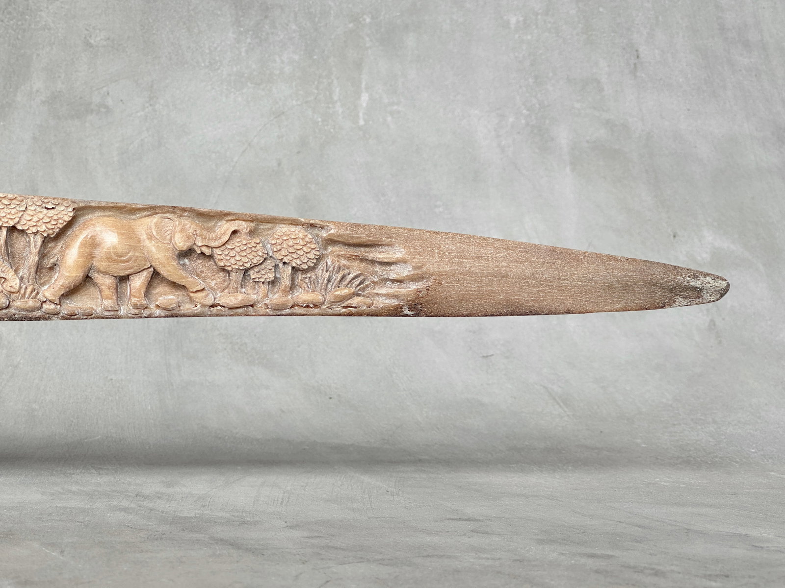 An impressive carved swordfish rostrum - Parade of Savannah elephants - 10