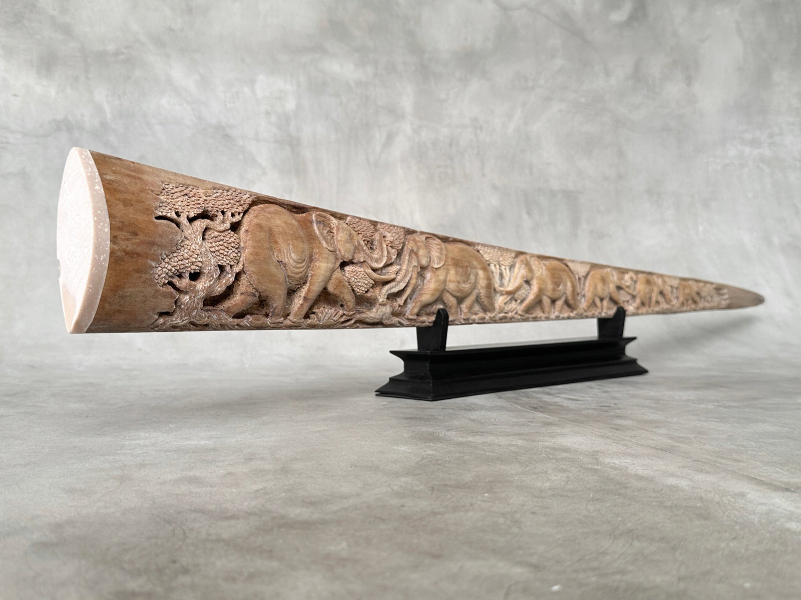 An impressive carved swordfish rostrum - Parade of Savannah elephants - 5