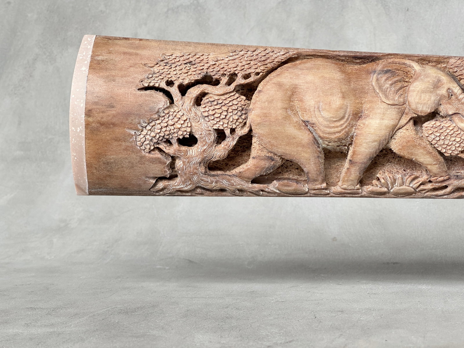 An impressive carved swordfish rostrum - Parade of Savannah elephants - 6