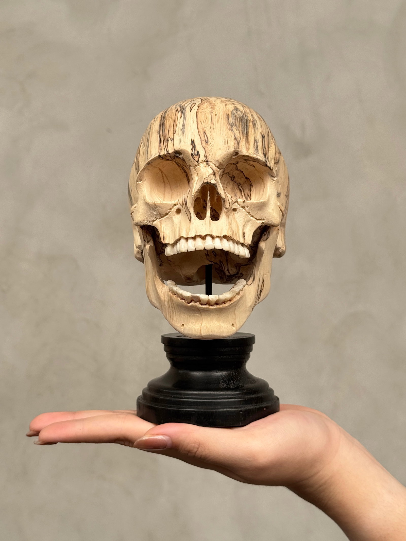 Wonderful human skull with a beautiful grain on a custom stand - 2