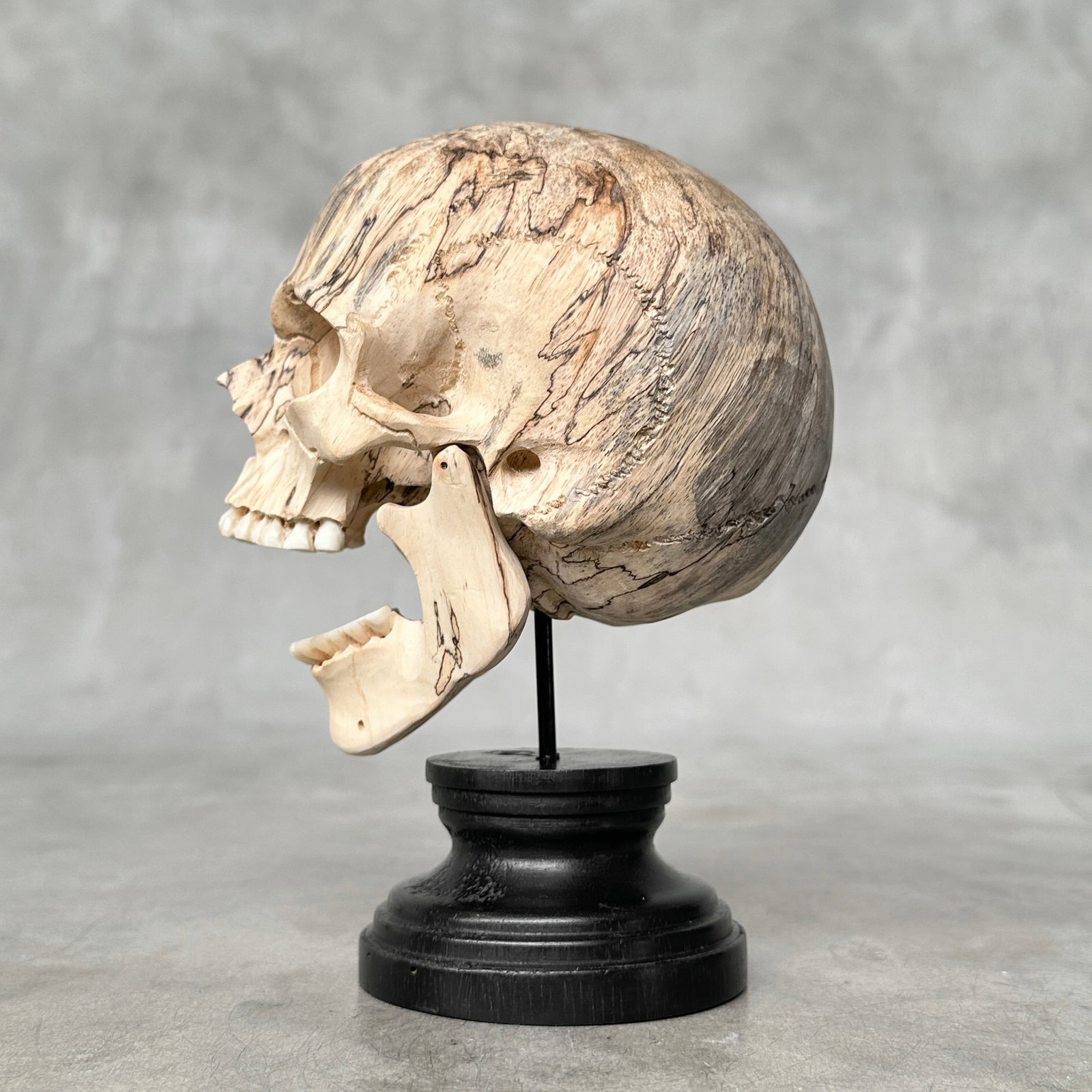 Wonderful human skull with a beautiful grain on a custom stand - 9