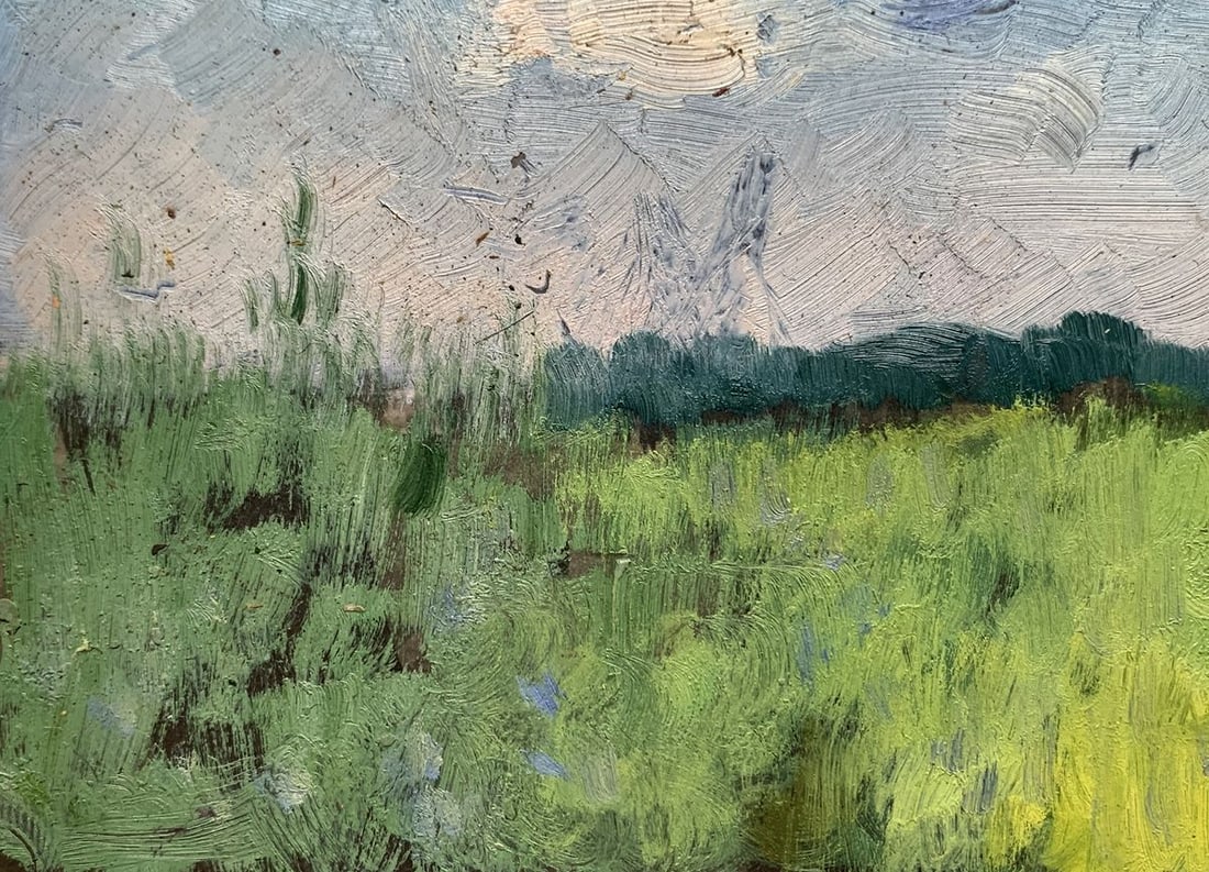 Oil painting After the summer rain Ivan Tsyupka - 5
