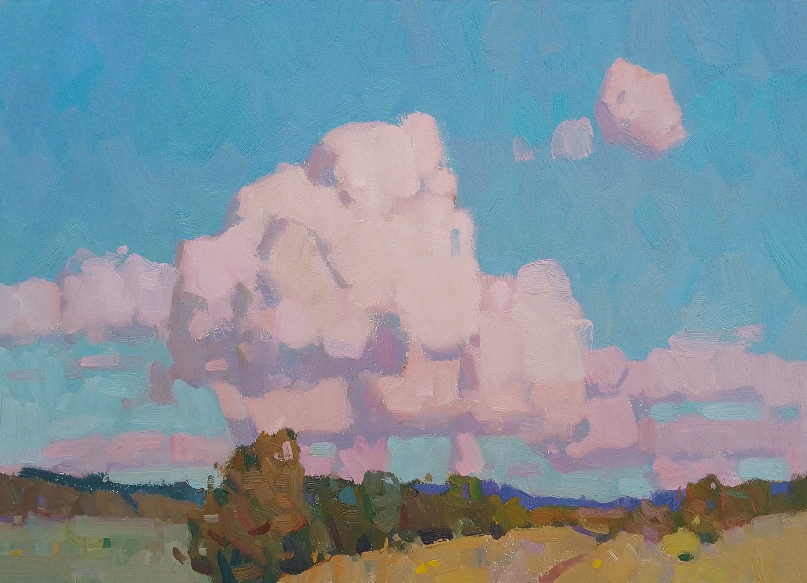 Oil painting Evening clouds Igor Tuzhikov: Title: Oil painting Evening clouds Igor Tuzhikov Description: 19TUZHIK Painter: Igor Tuzhikov Size: 25x35 cm/9.84x13.77 inches Components: oil, cardboard Original painting CONDITION: excellent ARTIST: