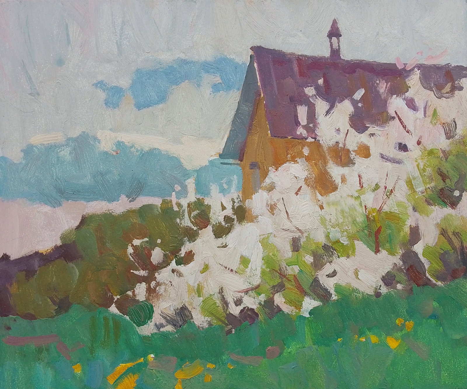Oil painting May village day Igor Tuzhikov: Title: Oil painting May village day Igor Tuzhikov Description: 21TUZHIK Painter: Igor Tuzhikov Size: 25x30 cm/9.84x11.81 inches Components: oil, cardboard Original painting CONDITION: excellent ARTIST