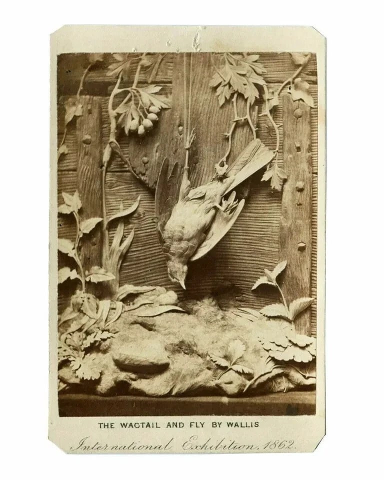 CDV Photo Still Life, International Exhibition London Stereoscopic 1862 (1 of 8)