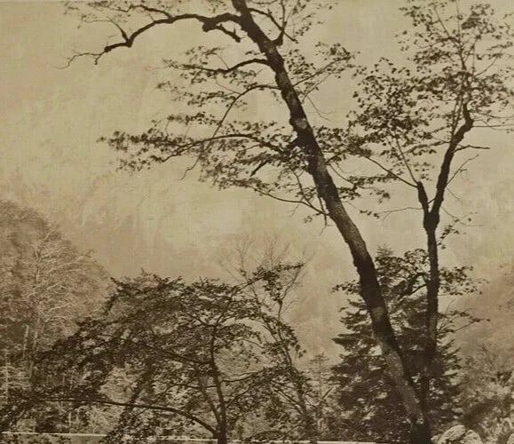 Vintage Photographs ALPHONSE DAVANNE Uriage-les-Baines Albumen c.1870 - 4
