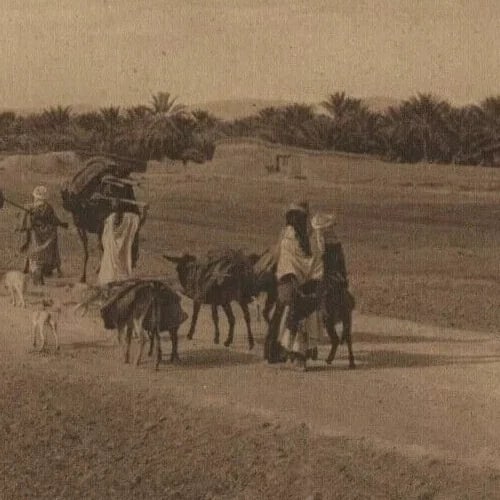 LEHNERT & LANDROCK - Heliogravure, Caravan to Oasis Vintage Photographs c.1910 (1 of 8)