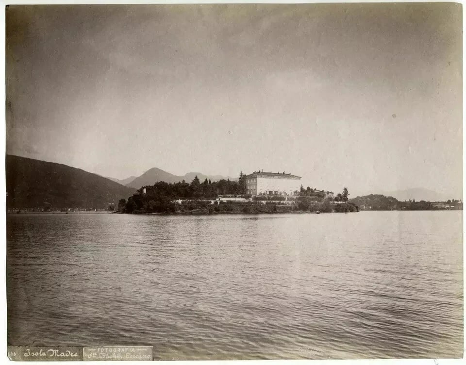 Fratelli Buchi - Italy - Isola Madre - Albumen Vintage Photographs c. 1880: Title: Fratelli Buchi - Italy - Isola Madre - Albumen Vintage Photographs c. 1880 Description: Albumen print Photographer's credit at the bottom in the negative 19.5 x 25 cm / 7.67 x 9.84 inches