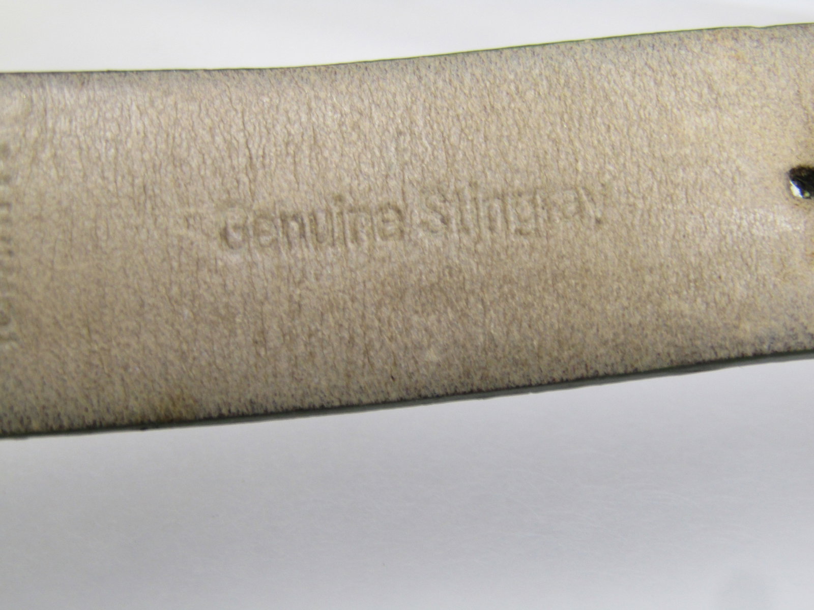 Philip Stein Ladies' Dual Time Teslar Watch, Green Stingray Band, 2002-2010 - 6
