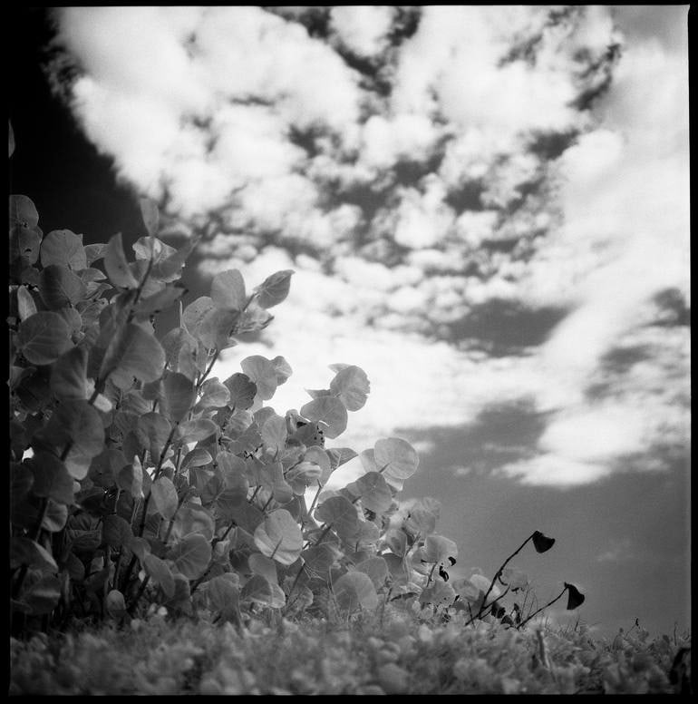 Flora, Santa Maria Beach, Havana, Cuba - [Ir Film] Silver Gelatin Photograph: Title: Flora, Santa Maria Beach, Havana, Cuba - [Ir Film] Silver Gelatin Photograph Description: Flora, Santa Maria Beach, Havana, Cuba - [IR Film] Silver Gelatin Photograph - Limited Edition of 10 Pa