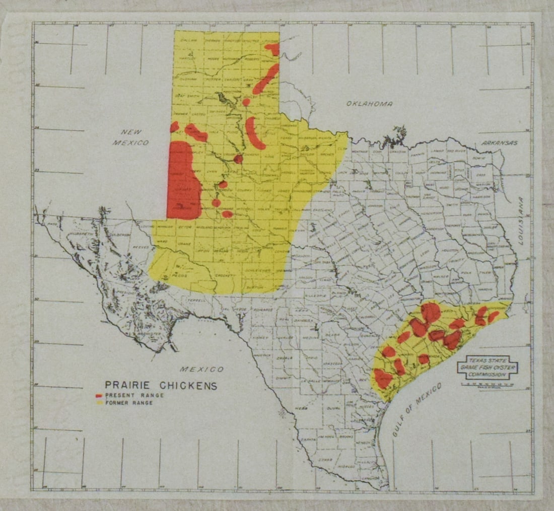 1945 Map of Texas Prairie Chicken Range -- Prairie Chickens: Title:1945 Map of Texas Prairie Chicken Range -- Prairie Chickens,li>Cartographer:Texas State Game Fish Oyster Comission Year/Place:1945 Map Dimension (in.):8.5 X 9 in. Description:This is a very nice