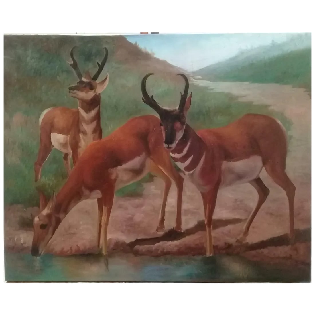 1982 Signed E. Diez Gallo – Framed, Realism – Original Work – Latin American Art - 3