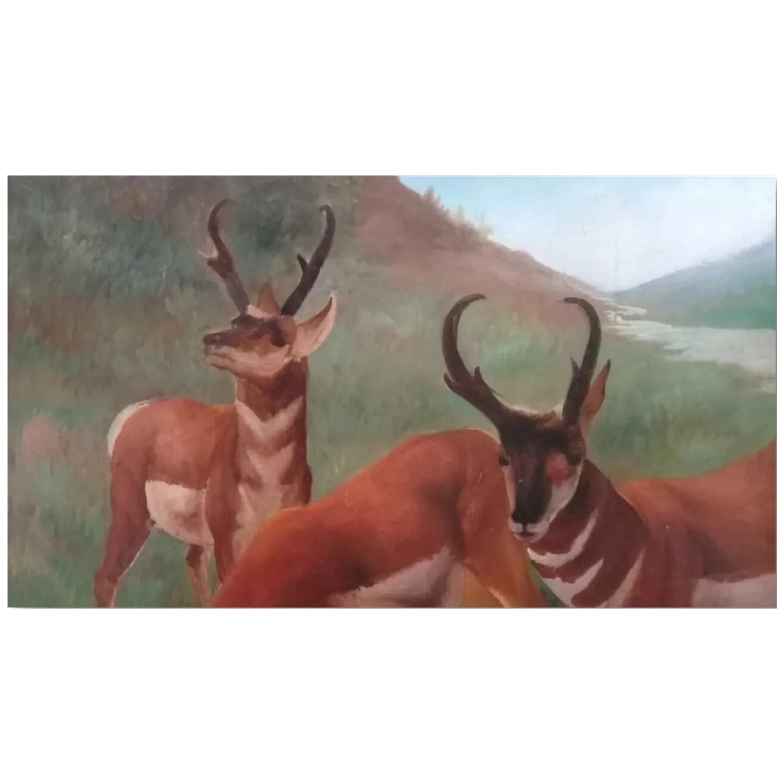 1982 Signed E. Diez Gallo – Framed, Realism – Original Work – Latin American Art - 4