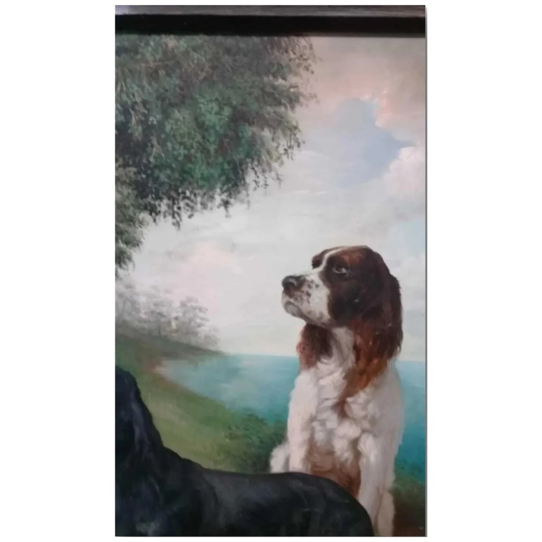 Top‑Quality Oil Painting ‘Cocker Spaniel’ – Collector’s Piece – - 4
