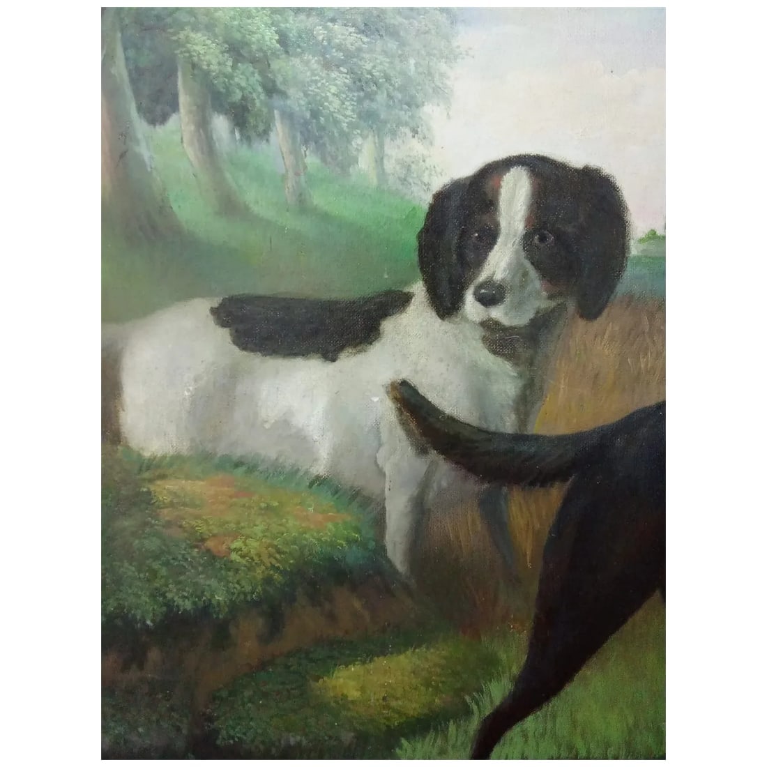 Elegant Hunting Dogs with Partridge – Oil on Canvas 1980 - 4