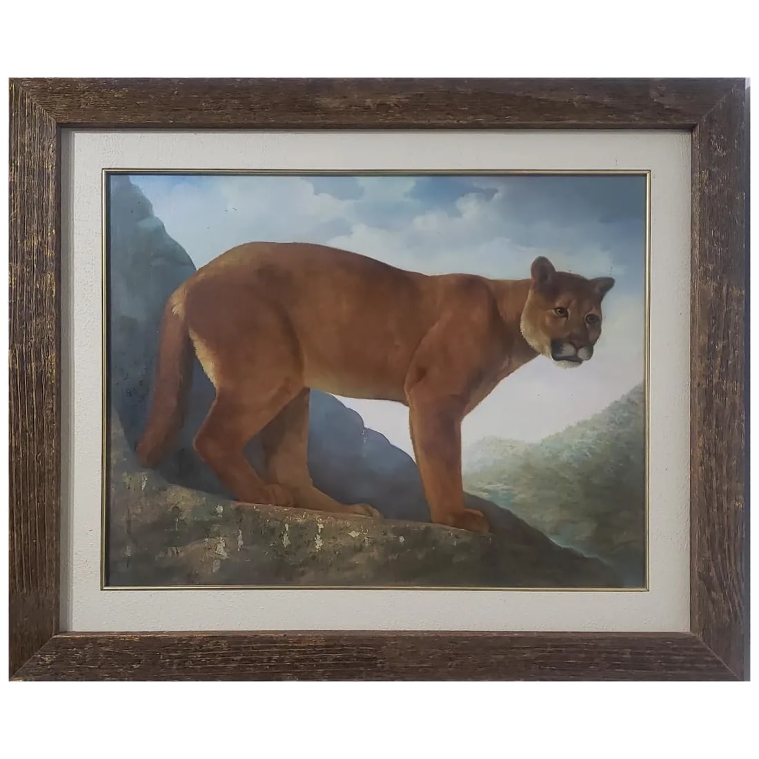 Diez Gallo — Puma Concolor (Cougar), 1980 — Signed Oil on Canvas, Framed - 2